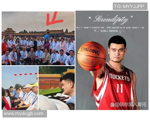 姚明与明星合影瞬间回顾展现篮球巨星的魅力与风采