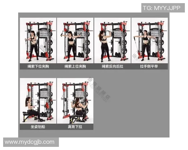 体育馆内常见的健身器材种类及其功能介绍让你全面了解健身设备的选择