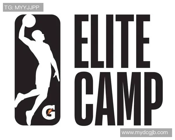 NBA篮球明星个人标志的设计理念与文化象征解析