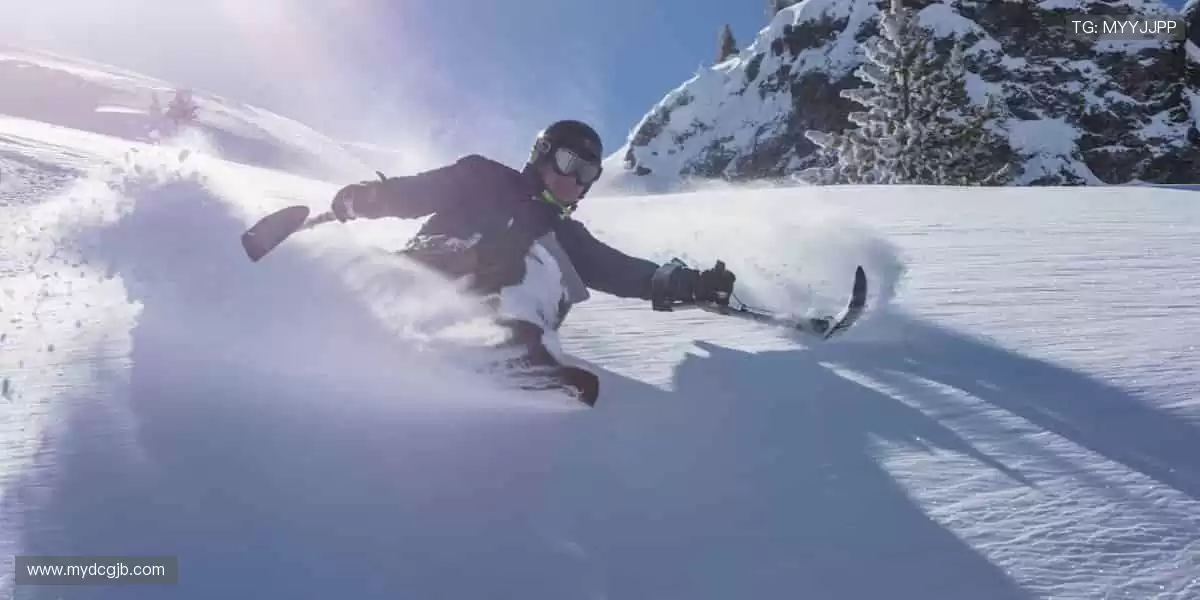 🏀全明星阵容，震撼来袭！篮球联赛官网，每一场都是视觉盛宴！🎯💥